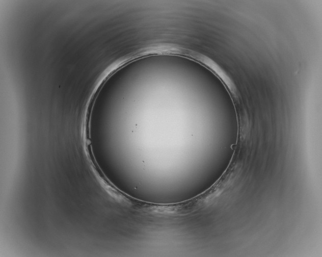 X0000113060861200908281133
