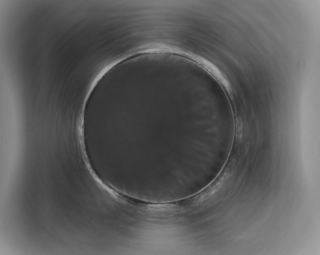 X0000113060863200908281133