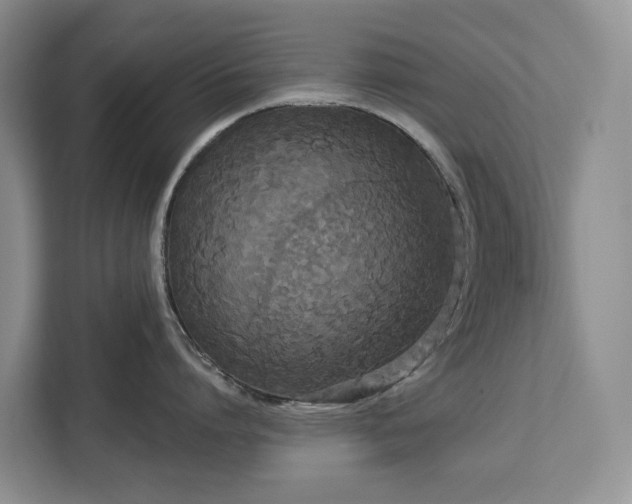 X0000113060864200908281133
