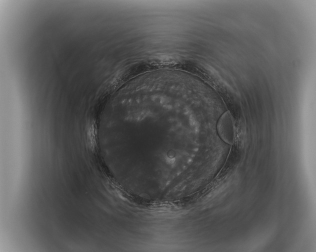 X0000113060866200908281132