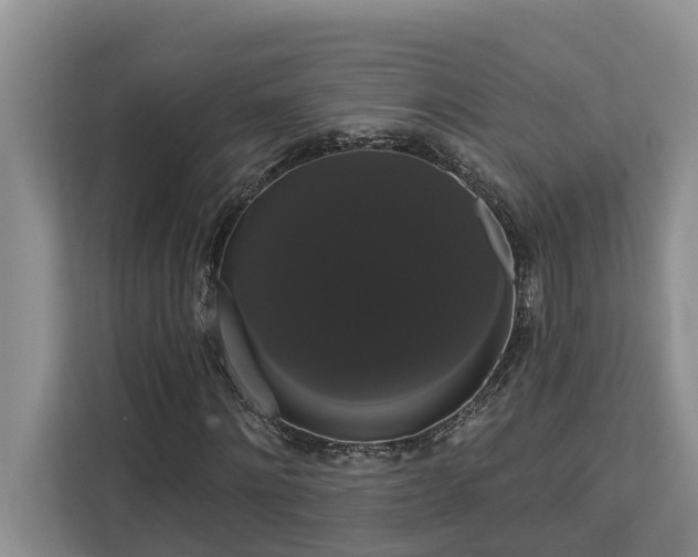 X0000113060868200908281132