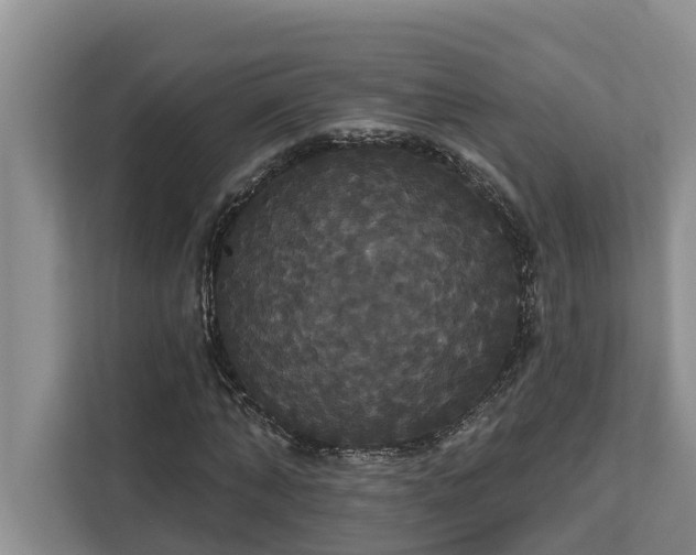X0000113060870200908281132