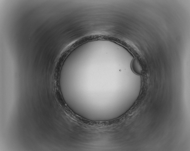X0000113060872200908281132