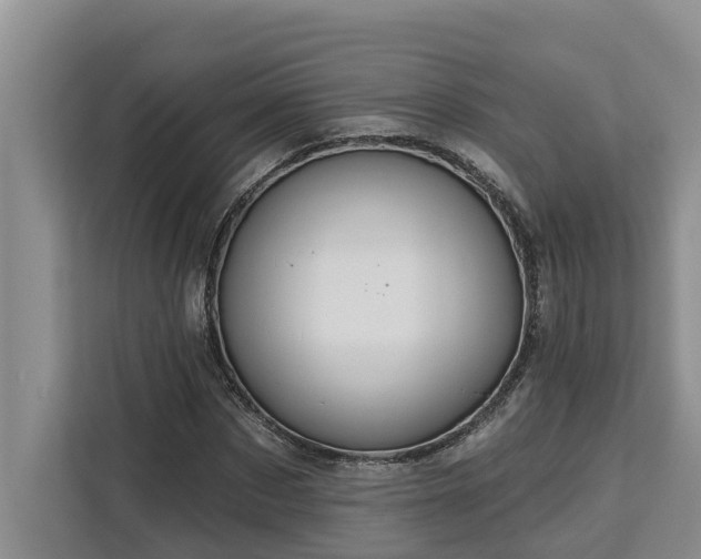X0000113060873200908281132