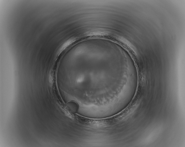 X0000113060874200908281132
