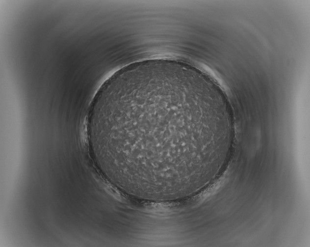 X0000113060875200908281132