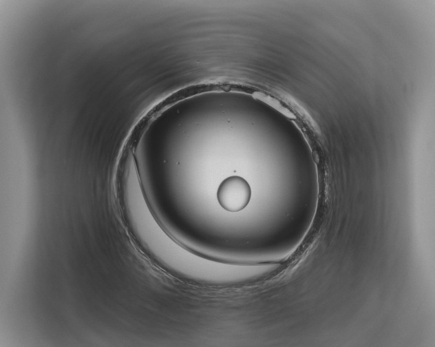 X0000113060876200908281132