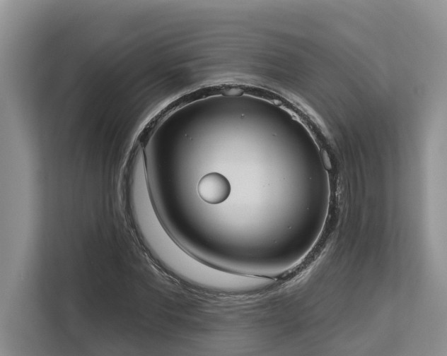 X0000113060877200908281132