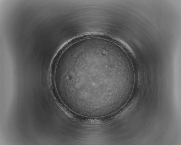 X0000113060878200908281132