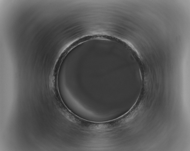 X0000113060879200908281132
