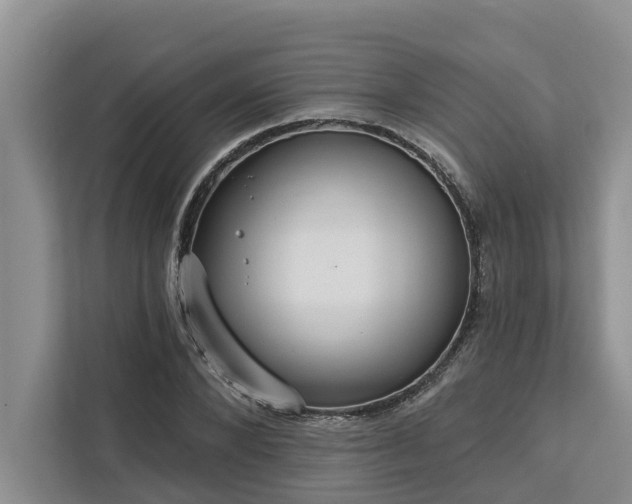 X0000113060880200908281132