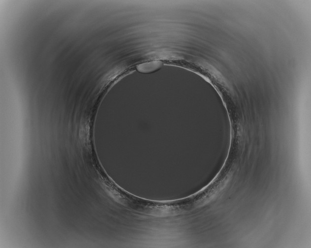 X0000113060881200908281132
