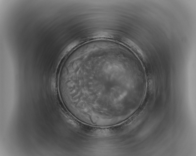 X0000113060882200908281132