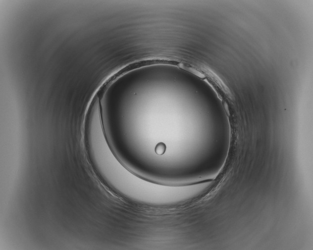 X0000113060884200908281132