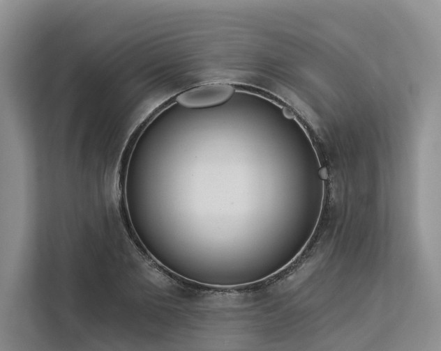 X0000113060885200908281132