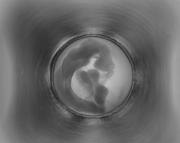 X0000113060886200908281132