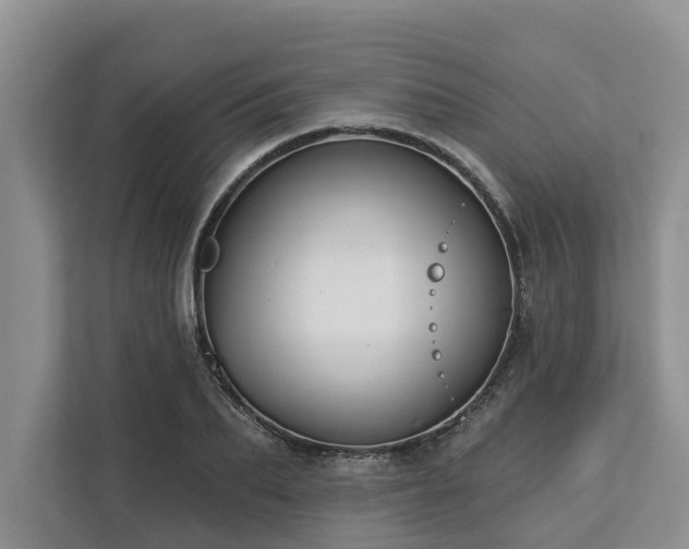 X0000113060887200908281132