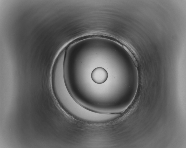 X0000113060888200908281132