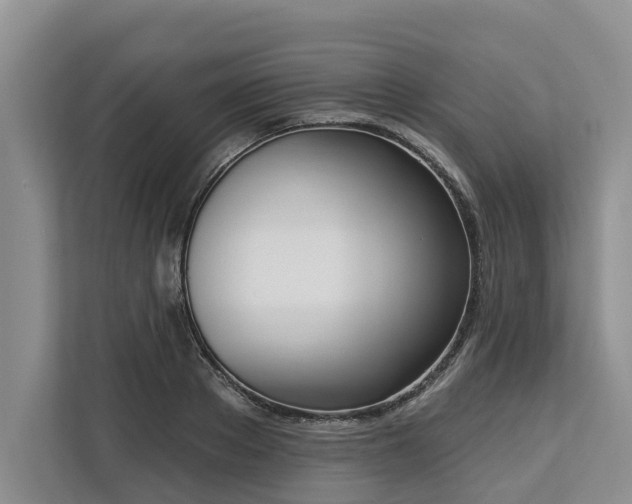 X0000113060889200908281132