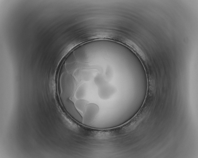 X0000113060890200908281132