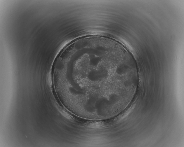 X0000113060891200908281132