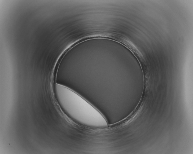 X0000113060892200908281132