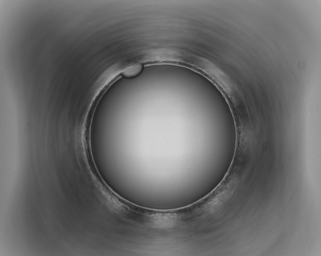 X0000113060893200908281132