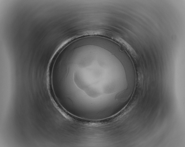 X0000113060894200908281132