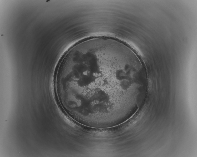 X0000113060895200908281132