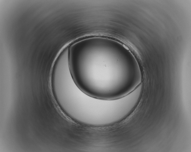 X0000113060896200908281132