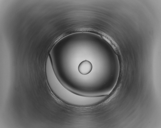 X0000113060897200908281132