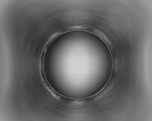 X0000113060898200908281132