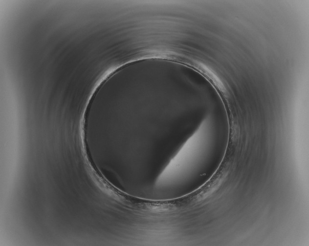 X0000113060899200908281132