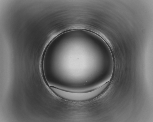 X0000113060901200908281132