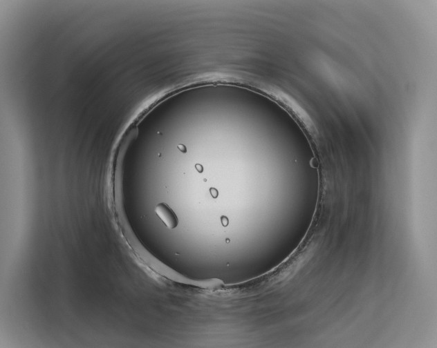X0000113060902200908281132