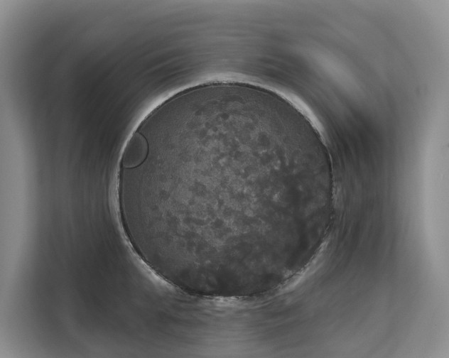 X0000113060903200908281132