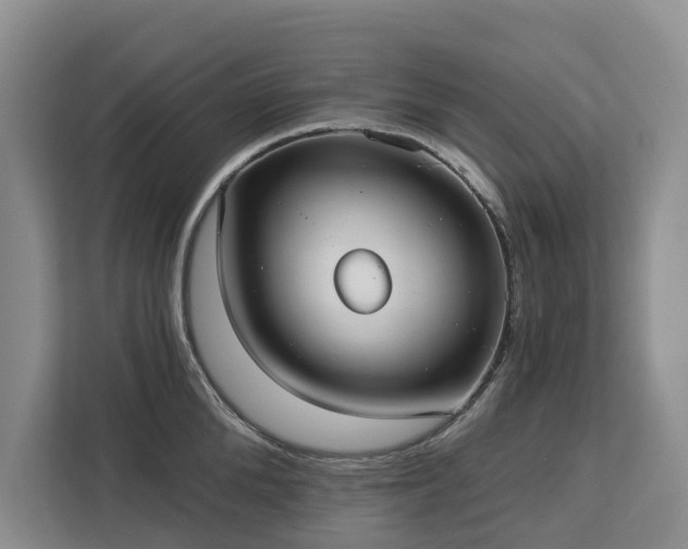 X0000113060904200908281132