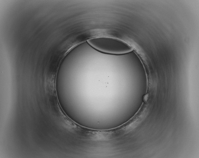 X0000113060905200908281132