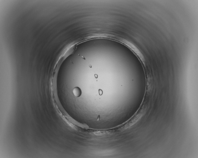X0000113060906200908281132