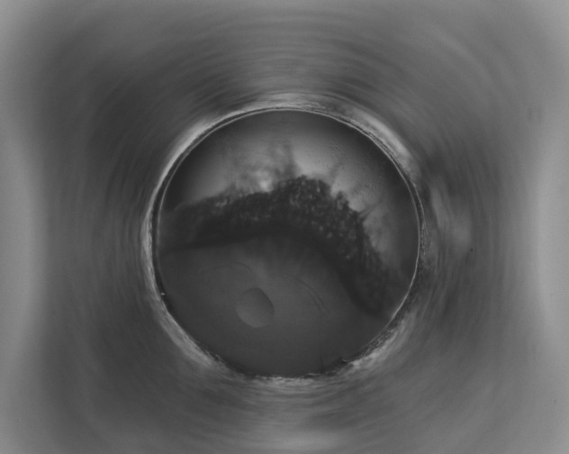 X0000113060907200908281132