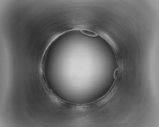 X0000113060908200908281132