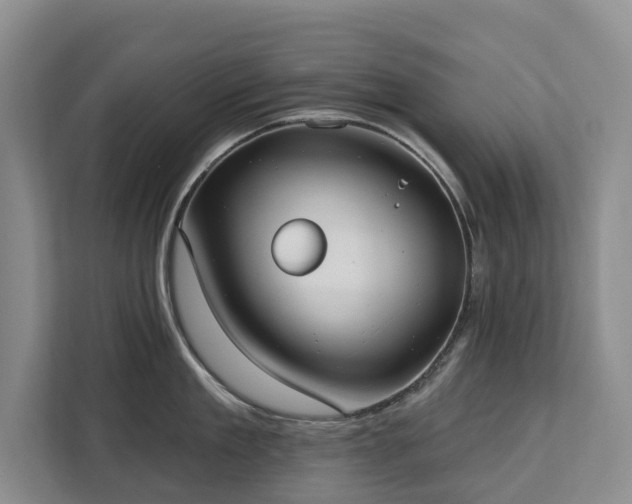 X0000113060909200908281132