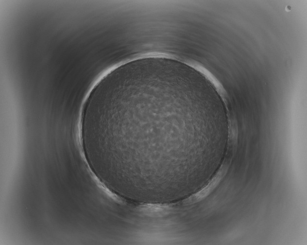 X0000113060910200908281132