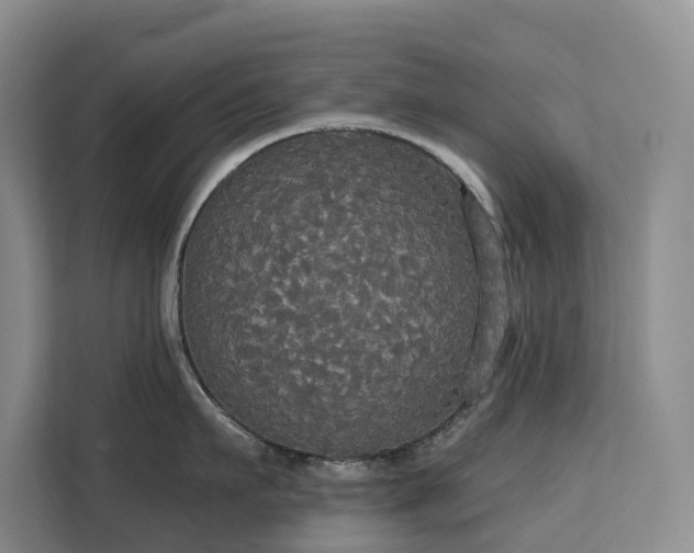 X0000113060911200908281132