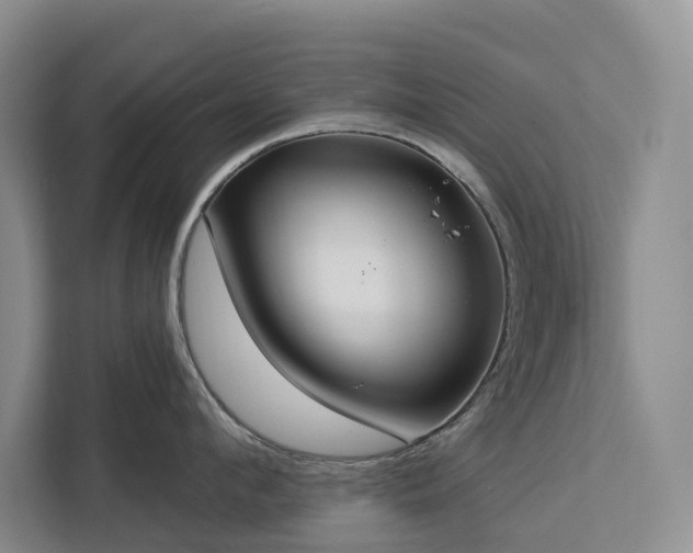 X0000113060912200908281132