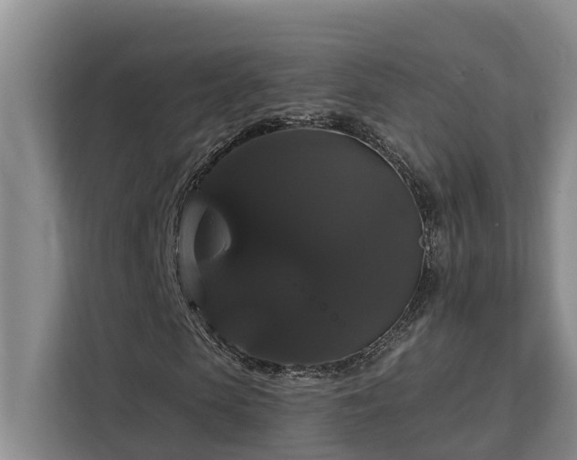 X0000113060913200908281131