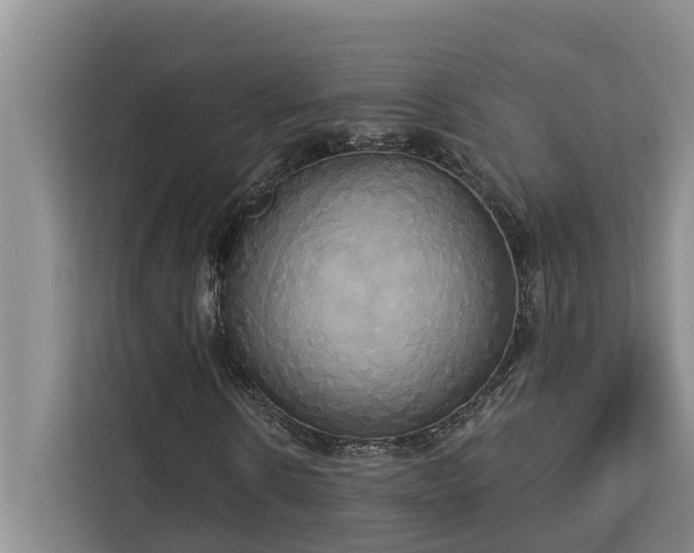 X0000113060914200908281131