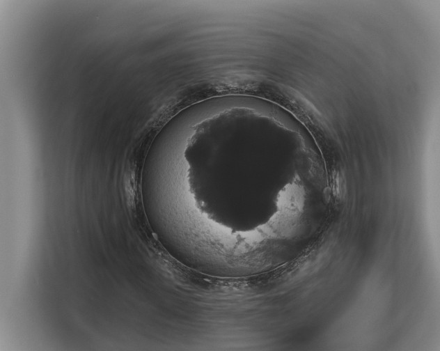 X0000113060915200908281131
