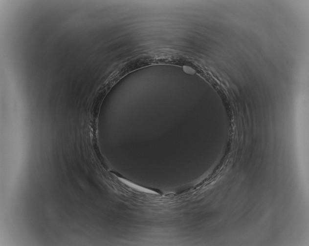 X0000113060916200908281131