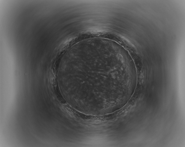 X0000113060917200908281131